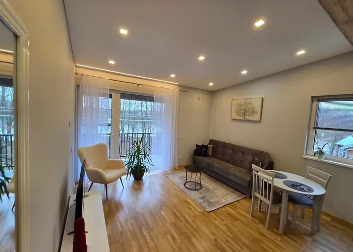 Jaukus Butas Panemuneje Su Vaizdu I Nemuna Kaunas foto